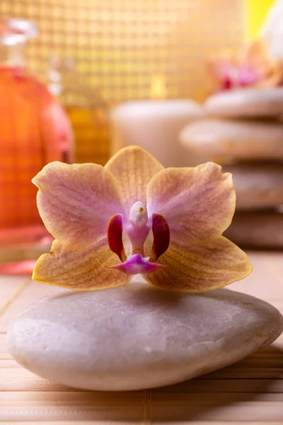 健康中心 在前景的兰花 在背景蜡烛 堆积如山的石头和芬芳芬芳的瓶子里 — 图库照片