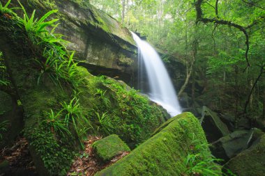 Güneydoğu Asya'nın şelale 