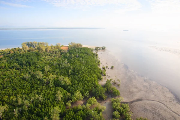 Blick von oben auf die Mangroveninsel. — Stockfoto