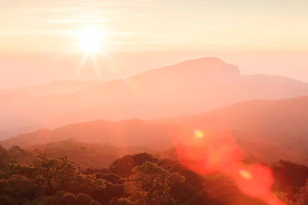 Goldener Sonnenaufgang leuchtet rund um Berg und Baumwipfel. — Stockfoto