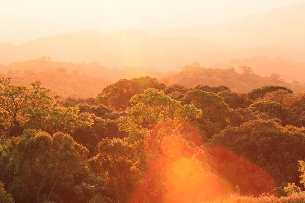 O nascer do sol dourado brilha ao redor da montanha e do topo do dossel . — Fotografia de Stock