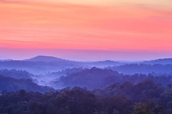 Malerische Landschaft mit tropischen Wäldern und blauen Bergen. — Stockfoto