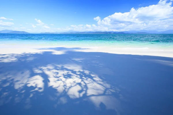 Letní čas, listí stín na pláži s bílým pískem pod slunci — Stock fotografie