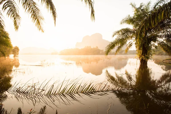 Sonnenaufgang rund um den See und Palmen. — Stockfoto