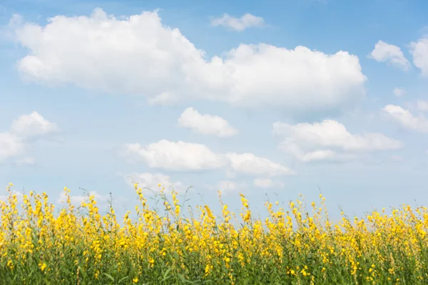 Weiße Wolken und hellblauer Himmel im Frühling. — Stockfoto