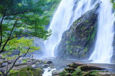 Genç adam akan şelale önünde taş üzerinde rahatlatıcı. Natur