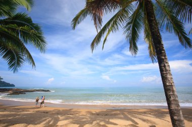 Aile yaz aylarında tropik sahilde yürüyüş. Hindistan cevizi hurma ve açık mavi gökyüzü. Khao Lak Beach, Phang Nga ilinde, Andaman Denizi, Tayland.