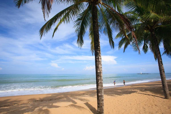 Familie Wandelen Tropisch Strand Zomer Cocos Palm Lichte Blauwe Hemel — Stockfoto