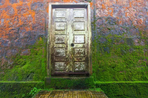 Krásná sytě oranžová a zelená mech na staré kamenné zdi a woo — Stock fotografie