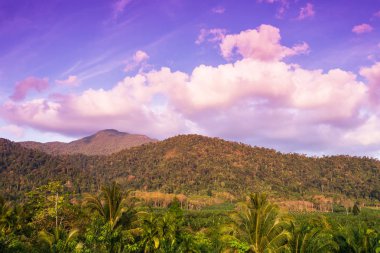 Güneş doğarken sıradağları olan tropikal bir orman..