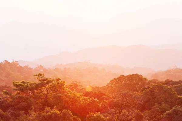 Krajobraz lasów tropikalnych o wschodzie słońca. — Zdjęcie stockowe