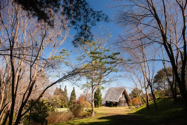 Paisagem panorâmica de casa de campo de madeira na floresta de inverno . — Fotografia de Stock
