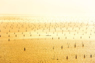 Hava manzarası, bir sürü geleneksel balık tuzağı ve gölde balıkçı..
