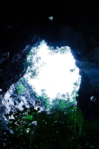 Vista inferior, misteriosa entrada de caverna antiga com plano tropical — Fotografia de Stock