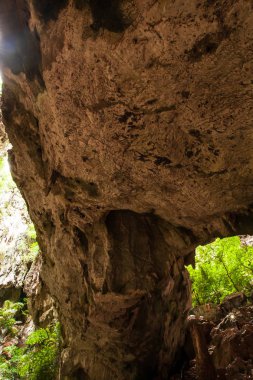 Mağara kaşifi büyük bir mağara kompleksini araştırıyor..