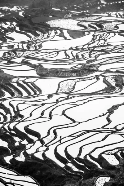 Vue aérienne imprenable sur les terrasses de riz Yuanyang au lever du soleil . — Photo
