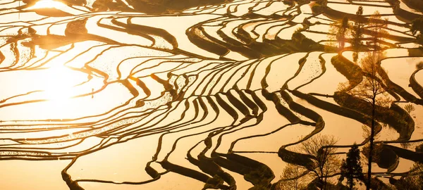 해 가 뜨면 위안 계단식논 의아름다운 공중 경관. — 스톡 사진