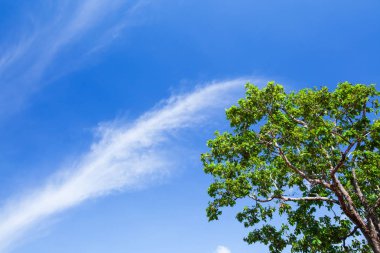 Dalgalanan beyaz bulutlu parlak mavi gökyüzü.