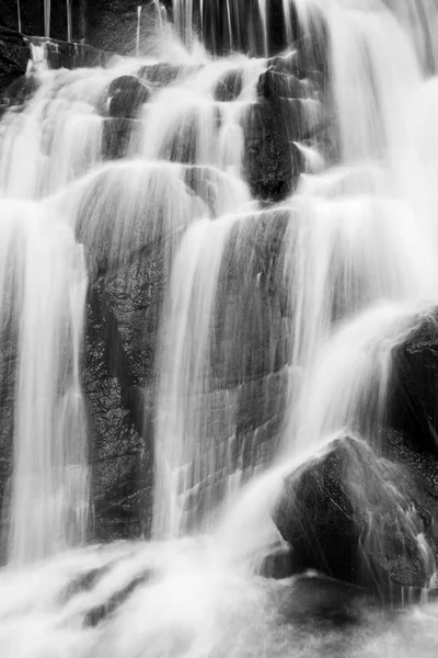 Rent vattenfall från tropisk skog. — Stockfoto