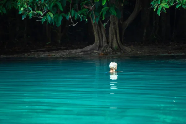 Visão traseira da bela mulher loira relaxante na piscina de esmeralda . — Fotografia de Stock