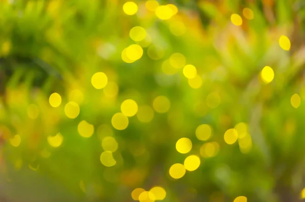 Defocus on fireflies flashes in tropical forest. — Stock Photo, Image