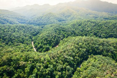 Tayland-Myanmar sınırı yakınlarındaki Tik Ormanı 'nın derinliklerindeki bir nehrin hava manzarası..