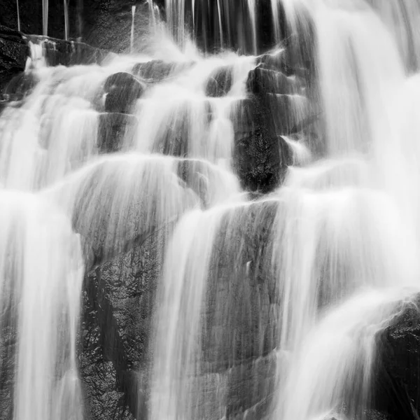 Cachoeira pura de uma floresta tropical . — Fotografia de Stock