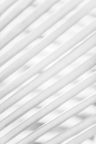 Palm leaves on palm leaves blur background. — Stockfoto