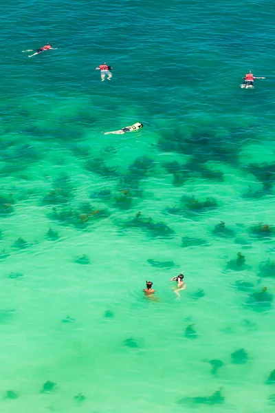 Légi kilátás a turisták búvárkodás a trópusi tengeren. — Stock Fotó