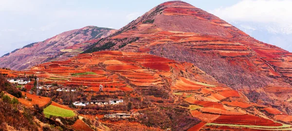 Paysage de terrasses de blé et ancien village sur les montagnes . — Photo