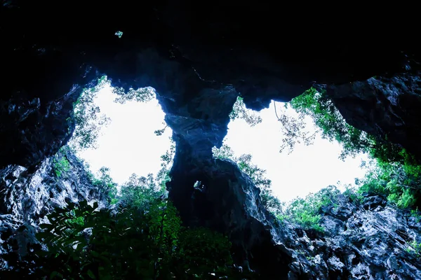 Bottom view of mysterious ancient cave entrance with plants and sky. — Stock Photo, Image