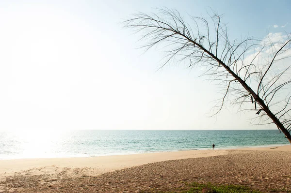 Toeristisch zonnebaden op het tropische strand. — Stockfoto