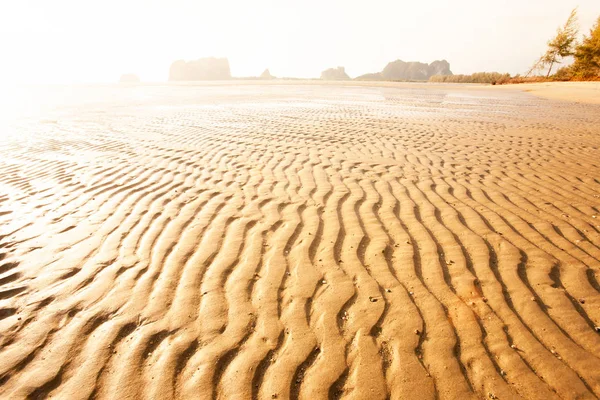 Látvány hullámos homokos strand trópusi tenger alkonyatkor. — Stock Fotó
