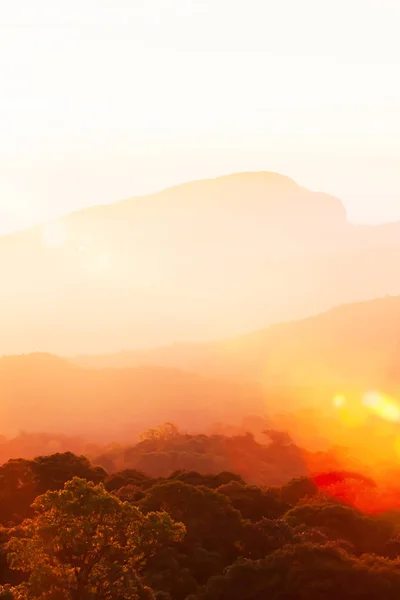 Malownicze Pasmo Górskie Zimowy Poranek Świecące Złote Słońce Świecące Baldachimie — Zdjęcie stockowe