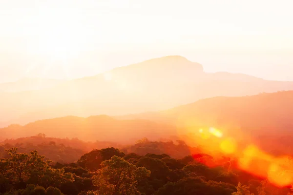 Pintoresca Cordillera Mañana Invierno Resplandeciente Sol Dorado Que Brilla Dosel —  Fotos de Stock
