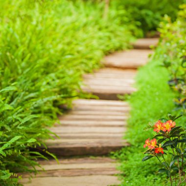 Turuncu Rhododendron çiçekleriyle dolu sakin bir botanik bahçesi, portakal rengi Rhododendron çiçekleri ve ahşap bir patika boyunca yemyeşil eğreltiotu. Mae Fah Luang Bahçesi, Chiang Rai, Tayland.