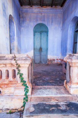 Terk edilmiş yerleşim binasının eski cephesi, eski verandada yetişen asma bitkisi, eski gök mavisi duvar ve arktik mavi ahşap kapı bulanık arka planlar. Tharae, Tayland 'ı yasakla. Eski verandaya odaklan..