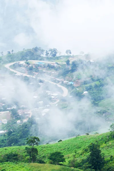 Υπέροχη Θέα Του Ορεινού Δρόμου Στην Πρωινή Ομίχλη Γραφικές Καμπύλες — Φωτογραφία Αρχείου