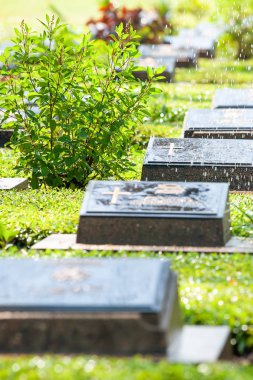 Anma Günü 'nde mezartaşlarında süs bitkileri ve otları sulayan bahçıvan. Yakın çekim, seçici odaklanma.