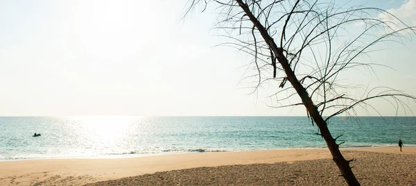 Tropische Zee Zonnige Zomerdag Twee Toeristen Zonnebaden Het Strand Kajakken — Stockfoto