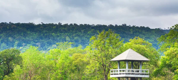 Dramatic Cloudy Tropical Forest Animal Watching Tower Hideout Summer Scene — 图库照片