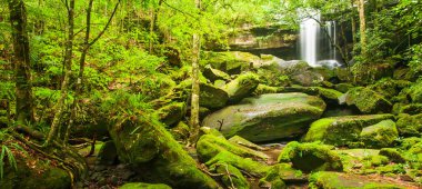 Yaz sabahları şelaleli eski tropik vadi, kayalarda taze yosun ve yosun, vahşi ağaçların yemyeşil yaprakları. Phu Kradueng Ulusal Parkı, Tayland. Uzun pozlama.