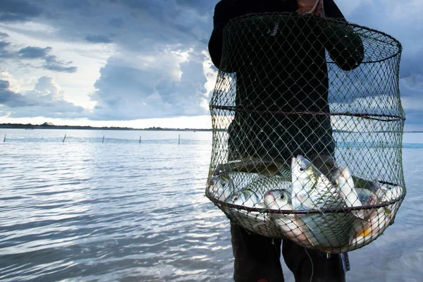 Thai Halász Állt Egy Tóban Miközben Egy Halhálóban Tartott Egy — Stock Fotó