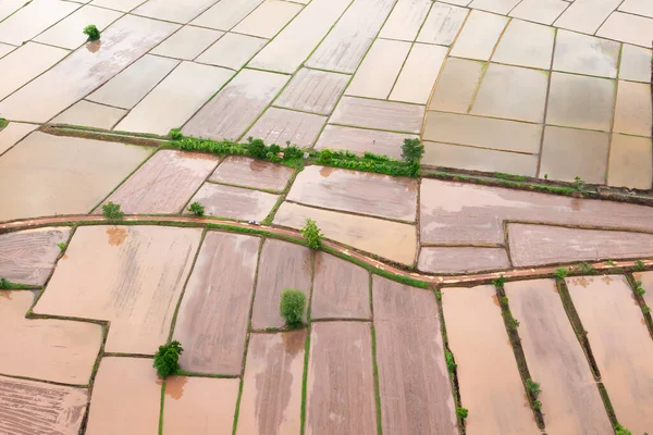 Luftaufnahme Von Reisfeldern Der Regenzeit Wunderbare Form Und Struktur Der — Stockfoto