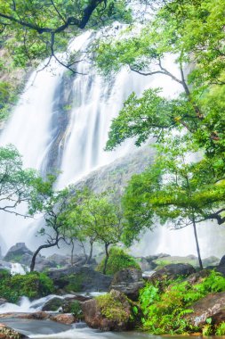 Yağmurlu bir sabahta muhteşem bir tropik şelale, yemyeşil tropikal bitkiler ve incir ağacında meyveler. Khlong Lan Ulusal Parkı, Tayland. Uzun pozlama.
