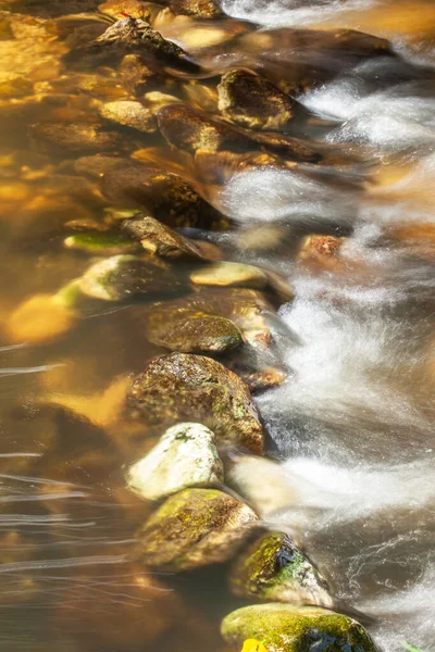Água Doce Clara Que Flui Sobre Seixos Pedras Riacho Riacho — Fotografia de Stock