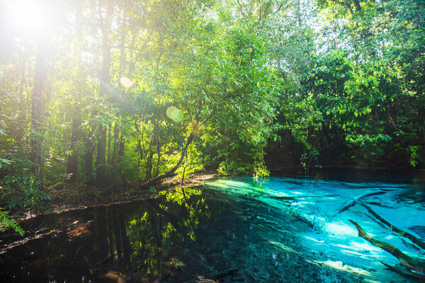 A tranquil emerald pool in the lowland forest on summer morning, sunbeam shines through branches of wild trees on surface of turquoise freshwater, top attractions in Krabi, Thailand. Soft focus.