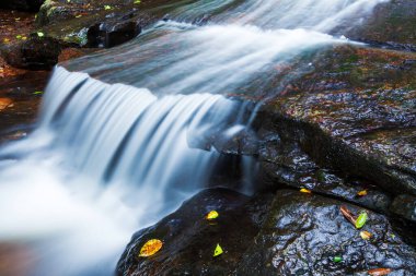 Yağmur mevsiminde kumtaşı üzerine dökülen tropikal şelalenin tatlı suyunun yakın çekimi, kumtaşı duvarları üzerinde akan saf su, sarı ve yeşil yapraklar suya düşer. Uzun pozlama.
