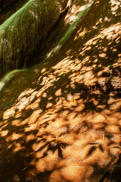 Abstrakcyjny Wodospad Cieniu Dzikich Drzew Słoneczne Lato Artystyczny Kształt Cienia — Zdjęcie stockowe