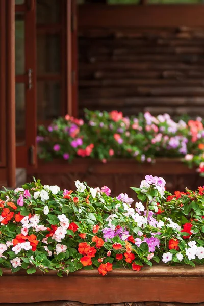 Wonderful Impatiens Flowers Bloom Wood Balcony Beautiful Cottage Summer Fokus — Stok Foto